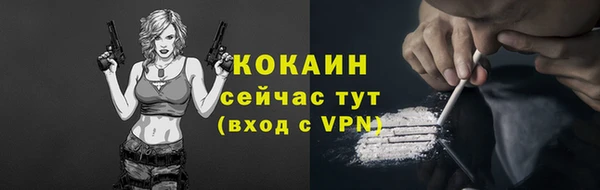 spice Новозыбков
