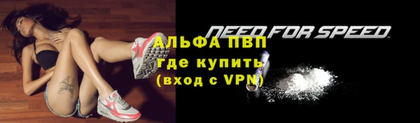 spice Новозыбков