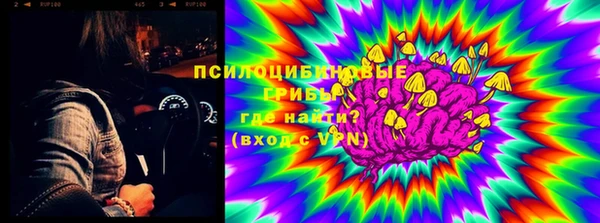 стаф Нефтегорск