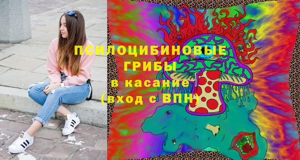 стаф Нефтегорск