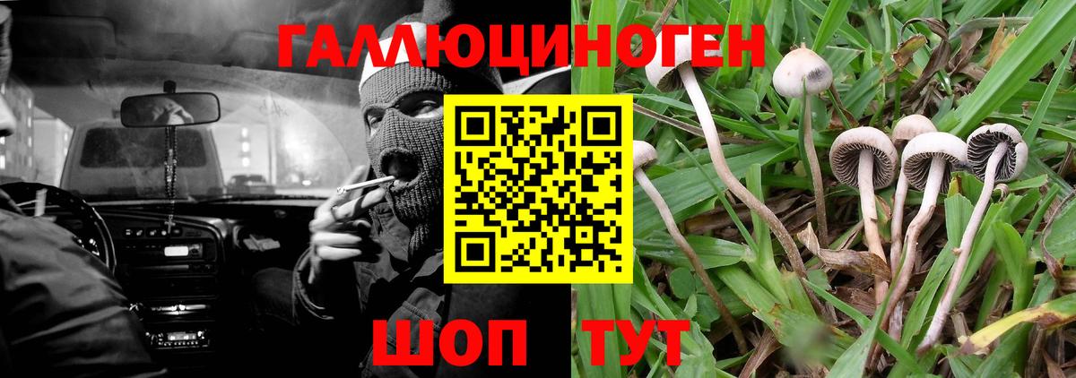 Псилоцибиновые грибы ЛСД Сафоново